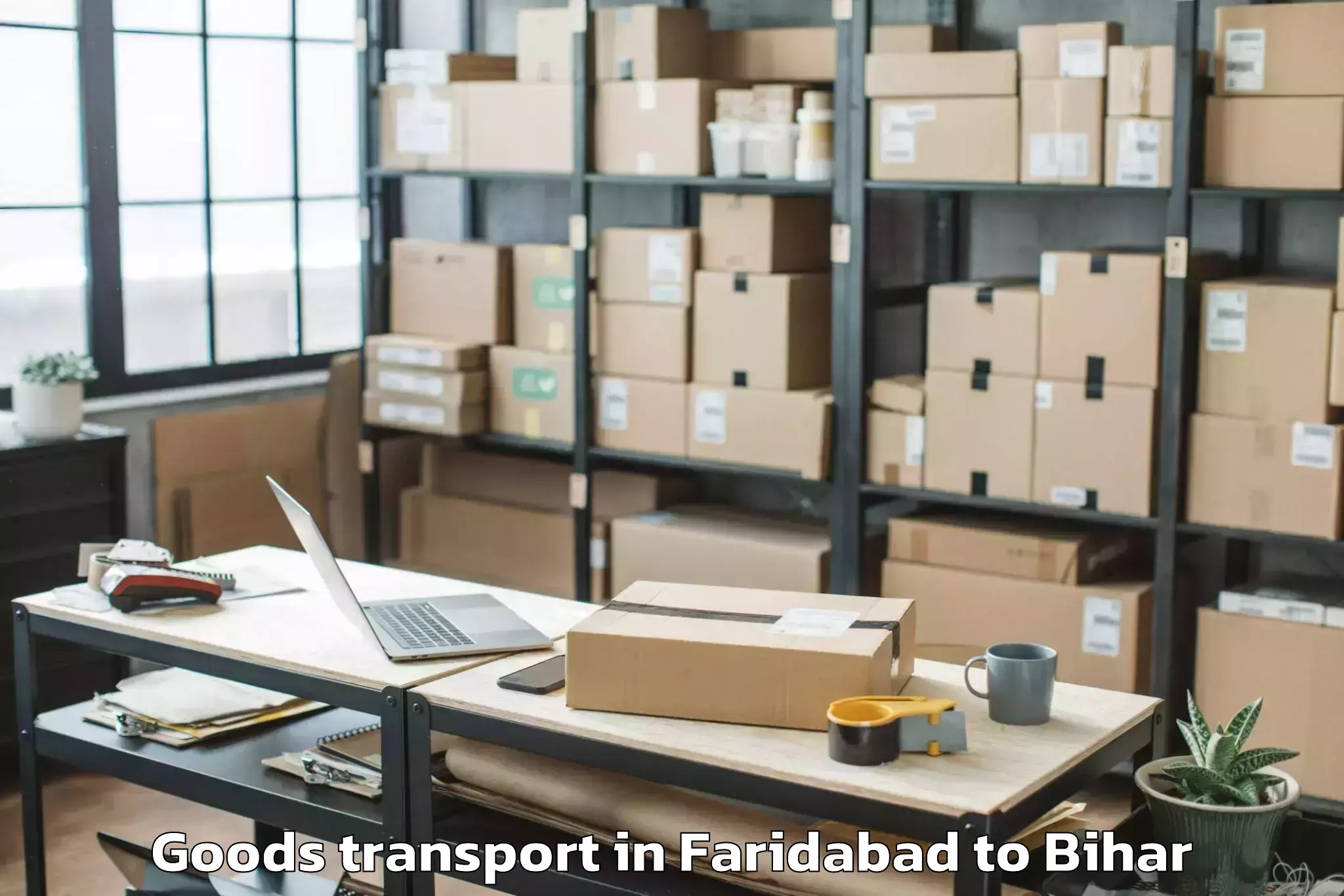 Top Faridabad to Andar Siwan Goods Transport Available